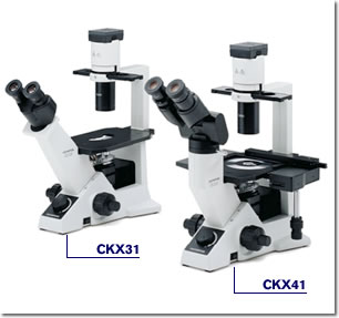 CKX41/CKX31ϵе@